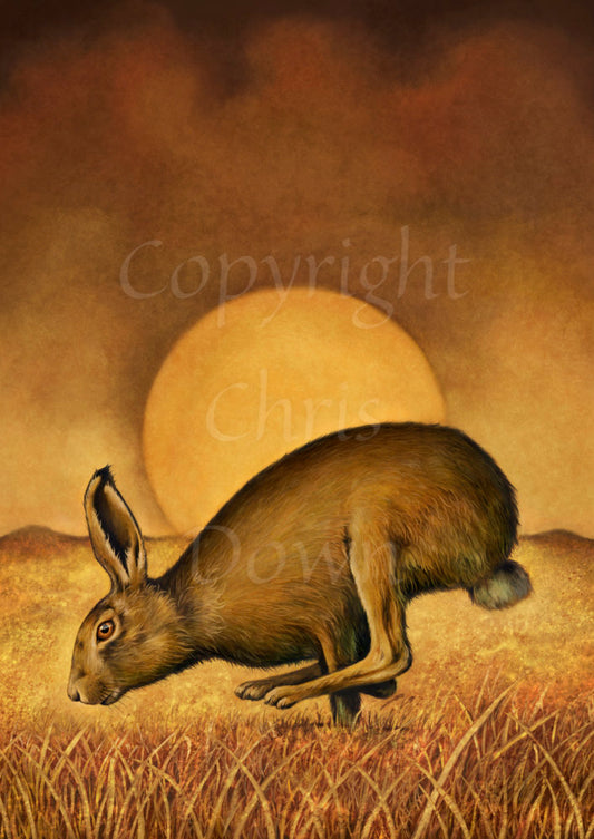 A brown hare runs from right to left, back curved, hind legs ahead of front legs. The sun rises behind, casting a golden brown glow across the sky, field and grass beneath the hare.