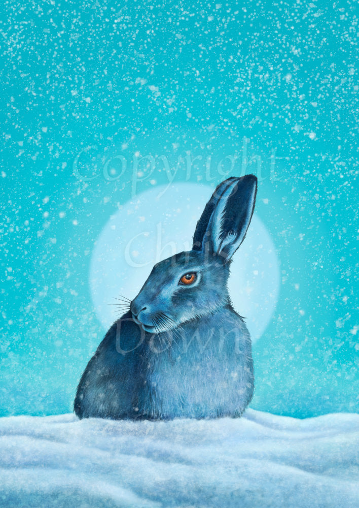 A hare crouches in snow, head turned to one side so one eye faces the viewer. Snow is falling, and a pale wintery sun shines behind. The design is coloured in shades of blue and turquoise, including the hare, which appears blue except for a deep orange eye.