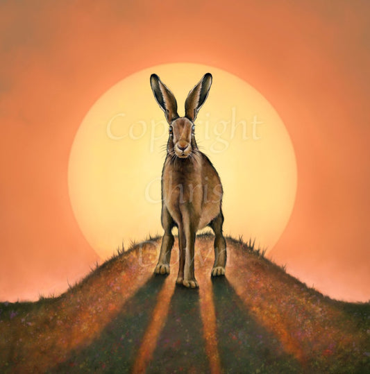 A brown hare stands on top of a small hill facing the viewer. The sun is rising behind the hare. The colours are mostly yellow, orange and brown.