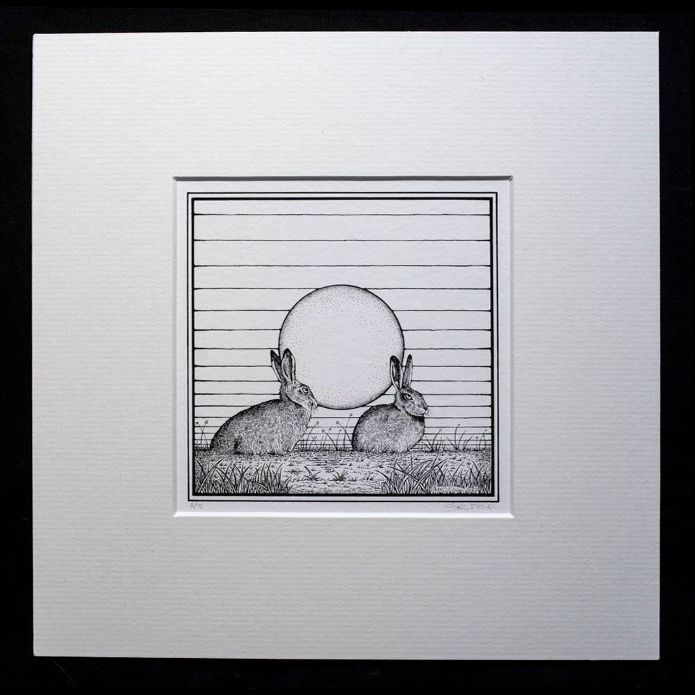 Black and white drawing of two hares sitting in a field