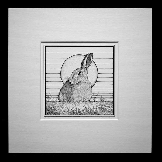 Black and white drawing of a hare sitting in a field
