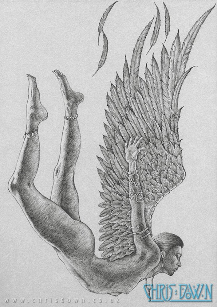 Black and white drawing. A naked human-shaped angel falls front-first. Her arms, legs and wings are stretched back and up, and she's losing a few feathers.